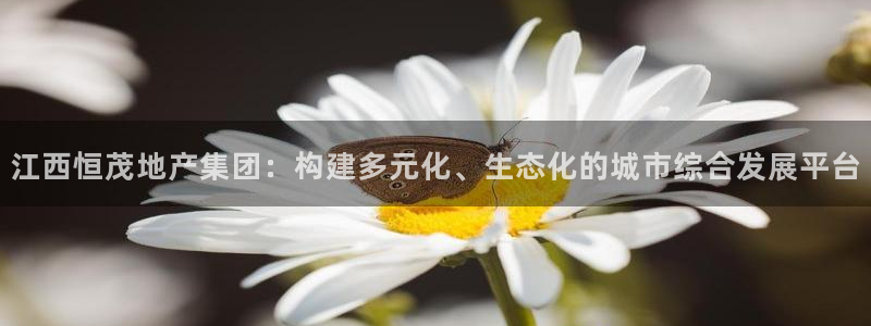 万向娱乐注册登录不上怎么回事