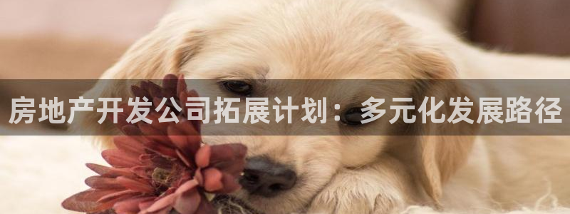 万向娱乐平台怎么下载