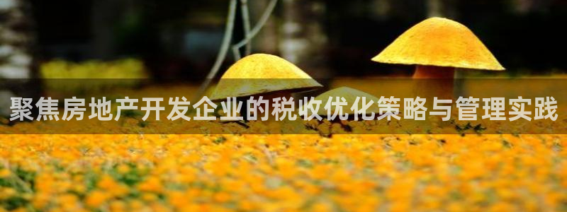 万向娱乐代理好看视频