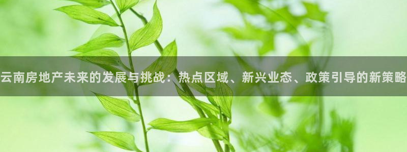 万向娱乐公司官网